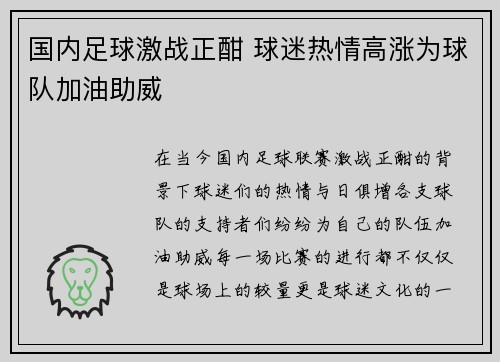 国内足球激战正酣 球迷热情高涨为球队加油助威
