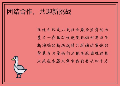 团结合作，共迎新挑战